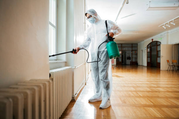 Best Best Pest Control Companies  in Ruidoso Downs, NM